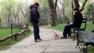 СУПЕР предложение руки и сердца