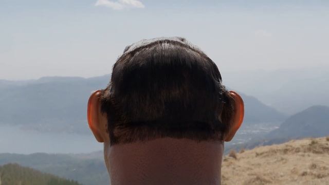 Just a short lion TF смотреть онлайн