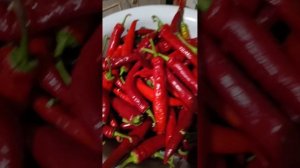 Самая вкусная классическая аджика с голубым пажитником