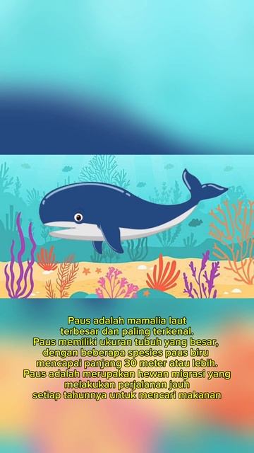 hewan laut  #ikan #hewanlaut #pengetahuan #shortanimation #education