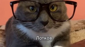 котинет 2 серия 1 сезона