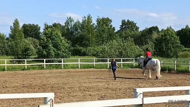 Берни, Першерон. занятие в КСБ http://www.lucky-lake.ru/