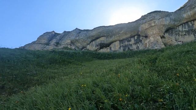 14.07.2024, часть 2 Харбук Совиные глаза😎