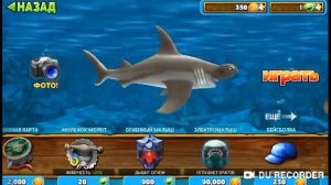 Акула молот