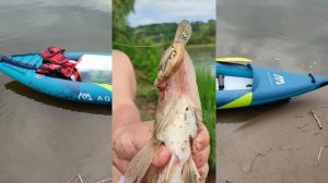 Каяк. + 2 судака.