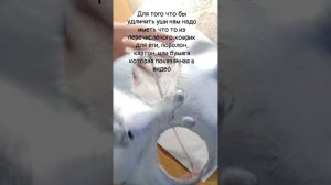 КАК СДЕЛАТЬ МАСКУ ДЛЯ КВАДРОБИКИ?!🤨Туториал здесь! 🥳🥳(1 Часть)