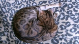 Рукодельная (и не только) неделя №5.