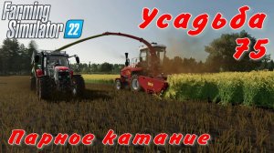 Усадьба 75 часть. Парное катание.