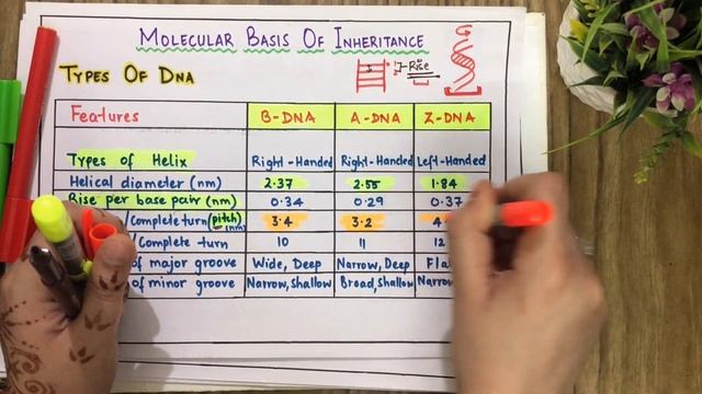 Molecular Basis of Inheritance - Types of DNA | nerdybrains