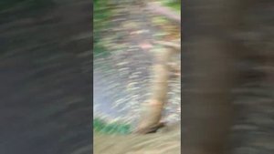 маленький привет что ты что ты плачешь или нет что ты лысый паки паки и морда