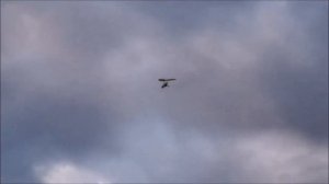 Дельталёт МД 20 с ротакс 582 La Mouette Chronos 16