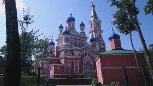 Влог Про Цветы Уходящее Лето. Рената Смирнова.