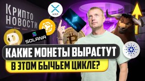 #крипта #криптоновости Какие монеты вырастут в этом бычьем цикле?