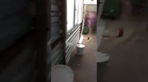 Обработка однохлористым йодом