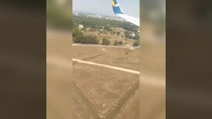 Мы с кошкой летим на отдых