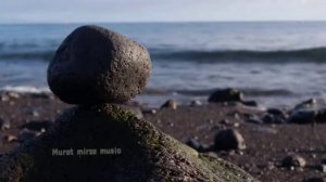 Mirzohid Mirzaev - Dunyodan yolgiz o'taman