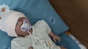 Vlog//Вечер с 4 реборнами//**у нас новый домашний питомец**