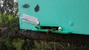 Работает разведка...