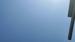 Полет молодых пакистанских голубей. 01.05.24