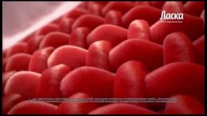 Реклама ￼Ласка Восстановление — Сентябрь￼ 2023￼