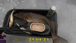 оз. Вселуг 29.01.25г