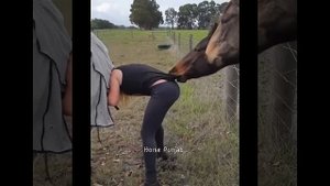 Dhakka | Horse vs Girl