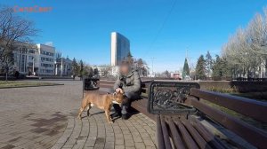 Оплатил лекарства часть 2