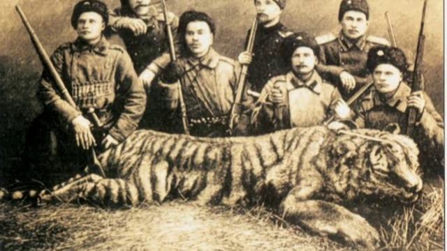 Caspian Tiger - The Story of How Central Asia Lost Her King