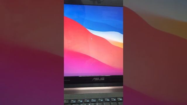 5 декабря 2021 г. смотреть онлайн