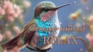 Пение птиц / Relax