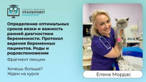 Фрагмент первого вебинара курса по репродукции с Еленой Мордас