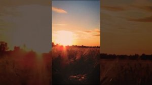Отправили УРАНы на базу отдыха!