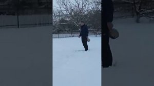 Петарда Crazy Robots