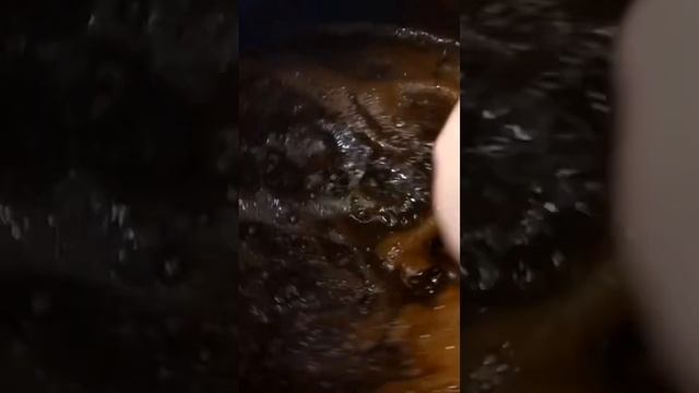 ДЕЛАЮ САМЫЙ ВКУСНЫЙ ЗЕРНОВОЙ САМОГОН смотреть онлайн