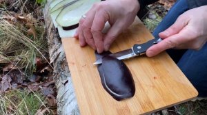 Нож Cold Steel Air Lite тест по продуктам в лесу / test