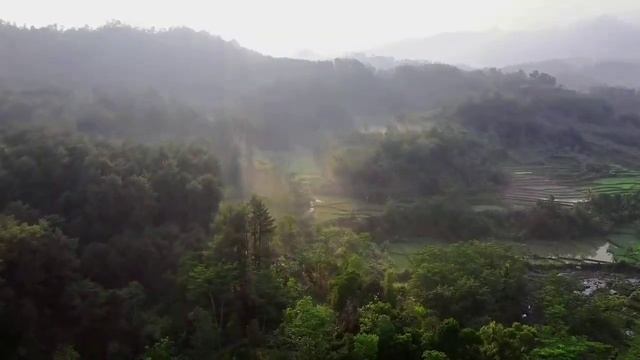 НИЩАЯ ТРАНЖИРИТ МАХИНЫ ДЕНЬГИ. VREDINA LIFE. ОБЗОР. смотреть онлайн