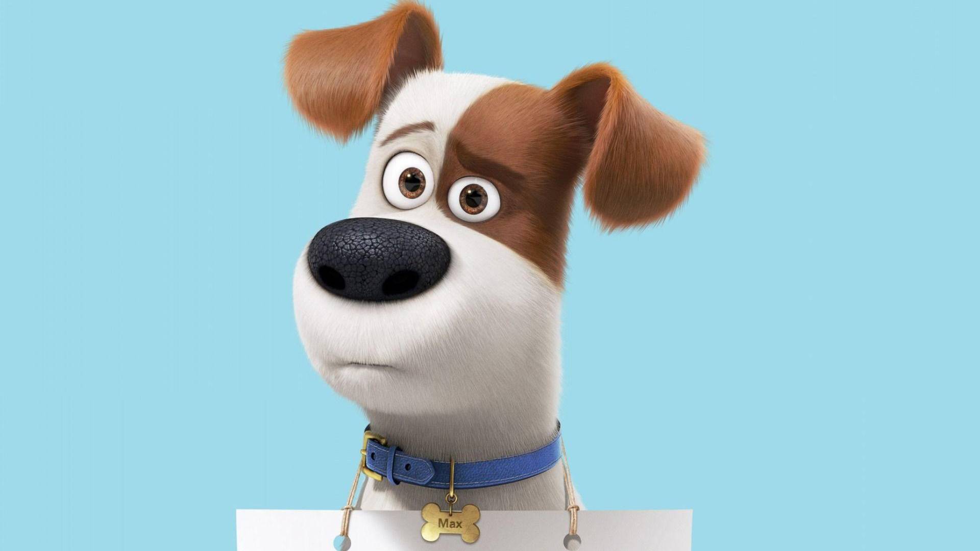 58996Тайная жизнь домашних животных 2 (2019) — Русский трейлер смотреть онлайн