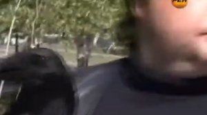 Есть ли у животных разум и сознание