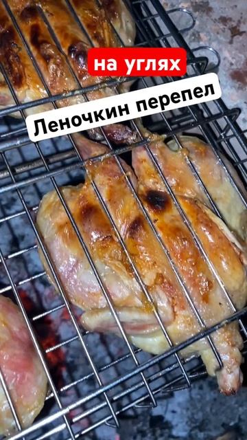 Готовим перепела на углях Хитрук Елена #мясоперепела #готовимдома #копчениемяса