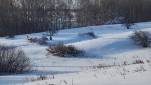 Погоня за зайцем.