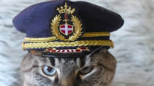 С 23 февраля.Поздравление с праздником.