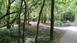 а я гуляю,а я хмелею,и ни о чём ,поверьте,НЕ жалею