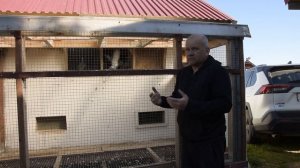 ТРЕНИРОВКА СПОРТИВНЫХ ГОЛУБЕЙ на 40 КМ.