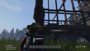 Медведь в клетке