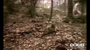 Отрывки из обрывков - 34 автора  Dmitry Udarov