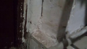 Пауки-сенокосцы VS Муха [2 ЧАСТЬ ФИНАЛ]