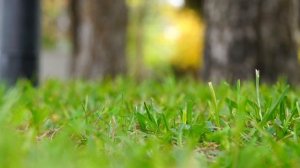 Медитация для накопления сил и преодоления стресса