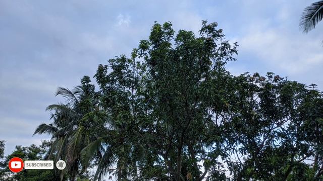 Redmi Note 9 Pro Max Google Camera + Ultra Wide + Micro Lens Support Samples!! 🔥