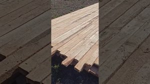 от короедов. делаем обработку доскам.