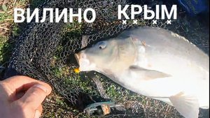Вилино рыбалка. Фидер. Карпфишинг. Карп на донку. Карп на флет.